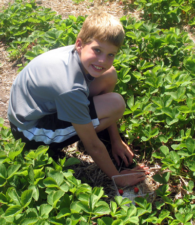 Cute Blake picking strawberries this past summer :)