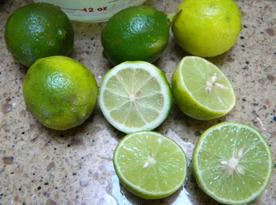 seedykeylimes