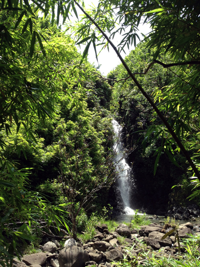 bamboo forest falls