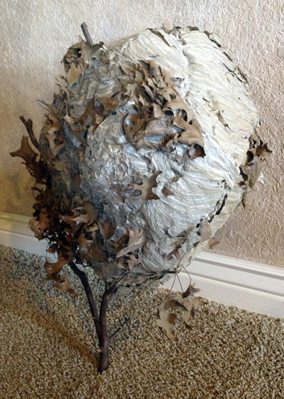 big hornet's nest
