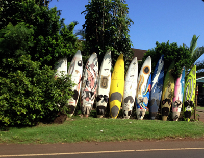 surf board fence