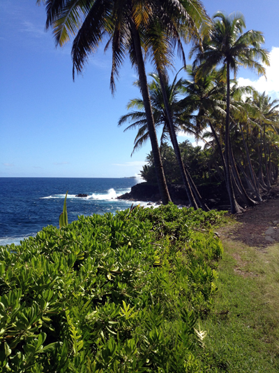 East Side Hawaii