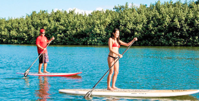 paddle boards