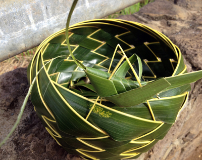 palm basket with cricket