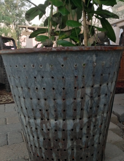 olive basket detail