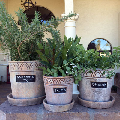 chalkboard pots