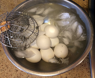 ice bath eggs