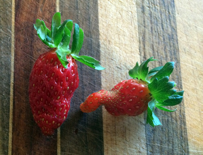 ugly strawberries