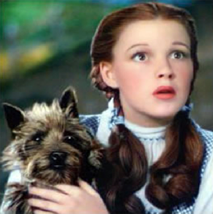toto and dorothy