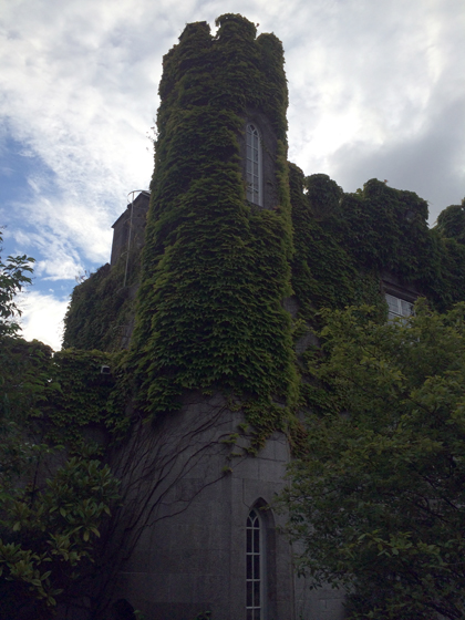 ivy covered turret