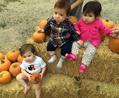 BZZ Pumpkin patch