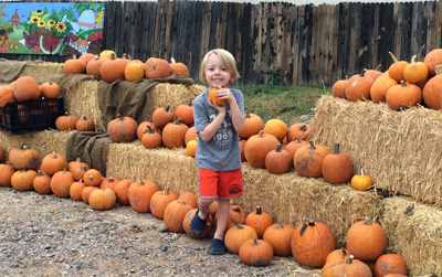 greyson pumpkin patch