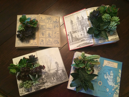 four succulent book planters