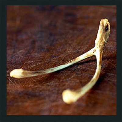 wishbone