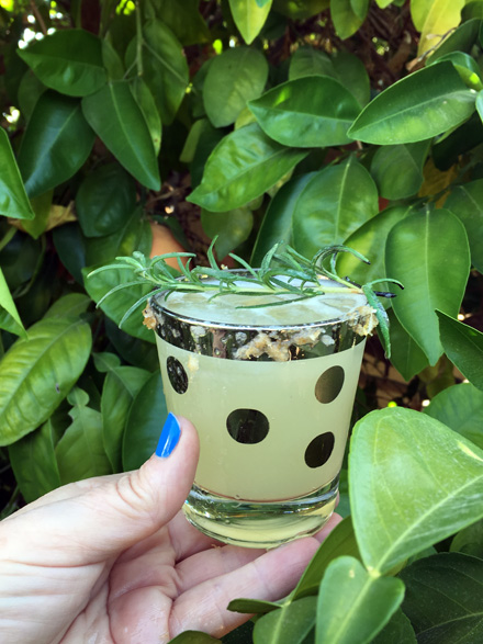 LindaLand Grapefruit & Rosemary Spritzer