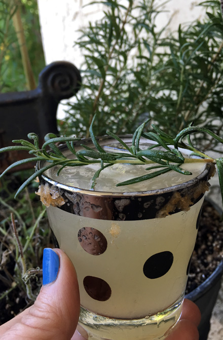 Rosemary & Grapefruit Spritzer