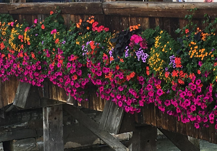 flowers on bridge