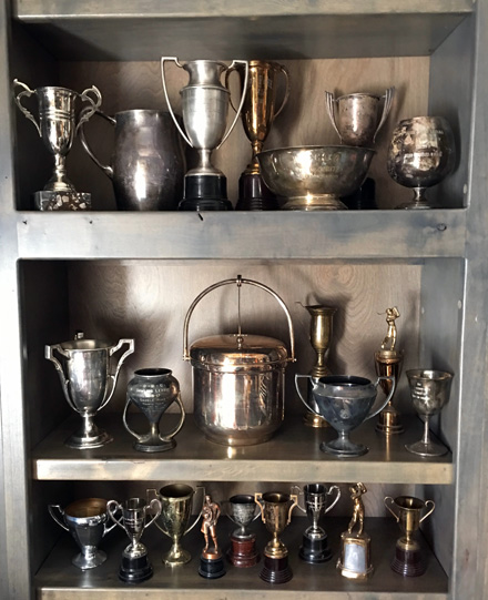 3-shelves-trophies-copy