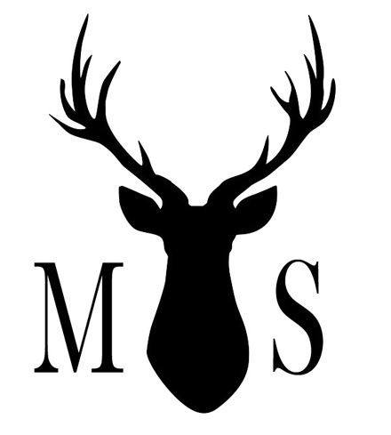 MSLogo copy