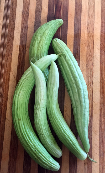 cucumbers