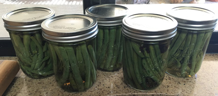 spicy picked green beans