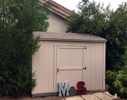 the-miscellany-shed