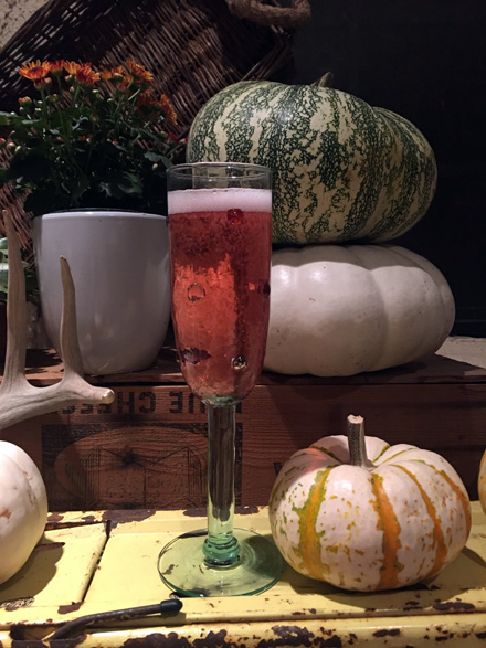 cranberry-fizz