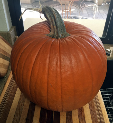 pumpkin-2